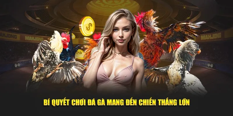 Bí quyết đặt kèo mang đến chiến thắng lớn khi tham gia tại FCB88