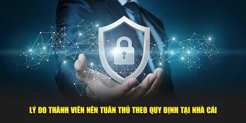 Lý do thành viên nên tuân thủ theo quy định tại nhà cái