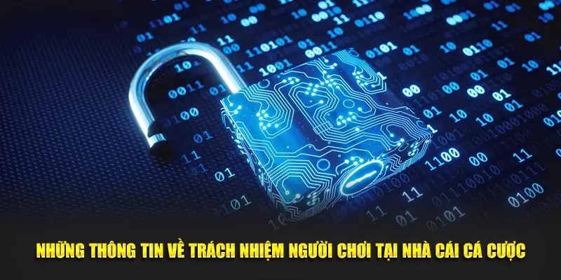 Những thông tin về trách nhiệm người chơi tại nhà cái cá cược