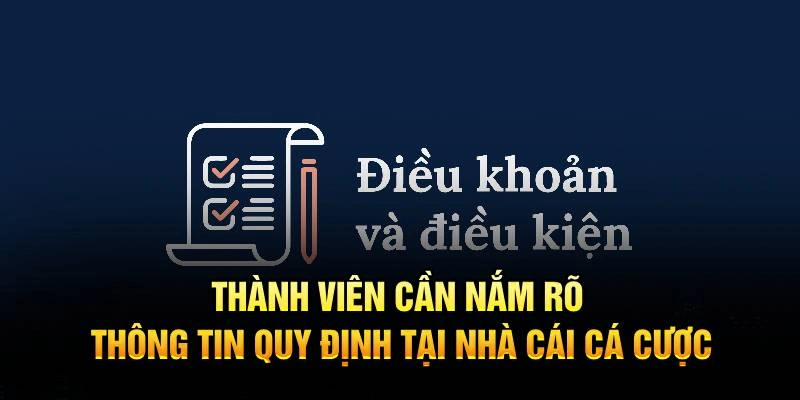 Thành viên cần nắm rõ thông tin quy định tại nhà cái cá cược