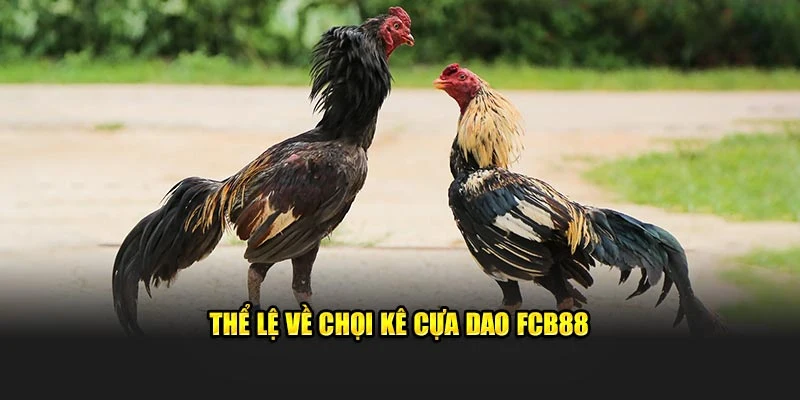 Thể lệ về chọi kê cựa dao FCB88