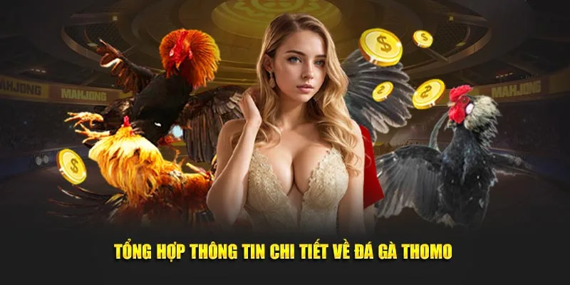 Tổng hợp thông tin chi tiết về hình thức giải trí hot hit tại nền tảng